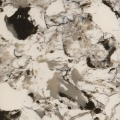 Ostra Piedra Artificial del cuarzo pulido de losas